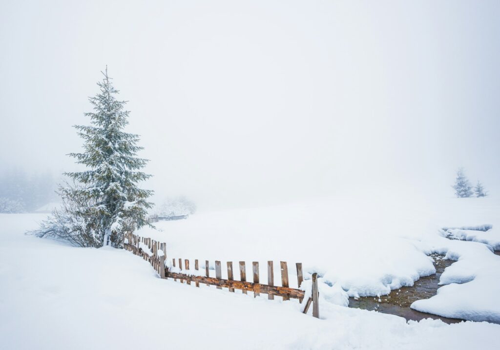 Bewitching winter picturesque landscape